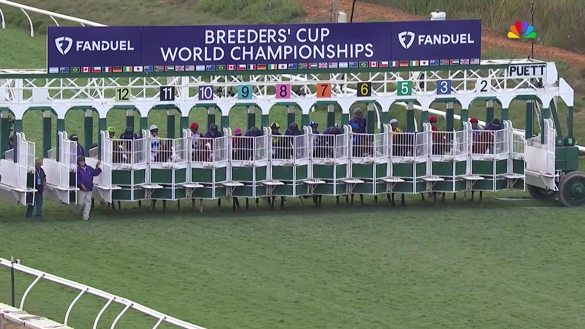 More Than Looks wins the $2 Million FanDuel #BreedersCup Mile presented by PDJF! Congrats to all connections! #BC24