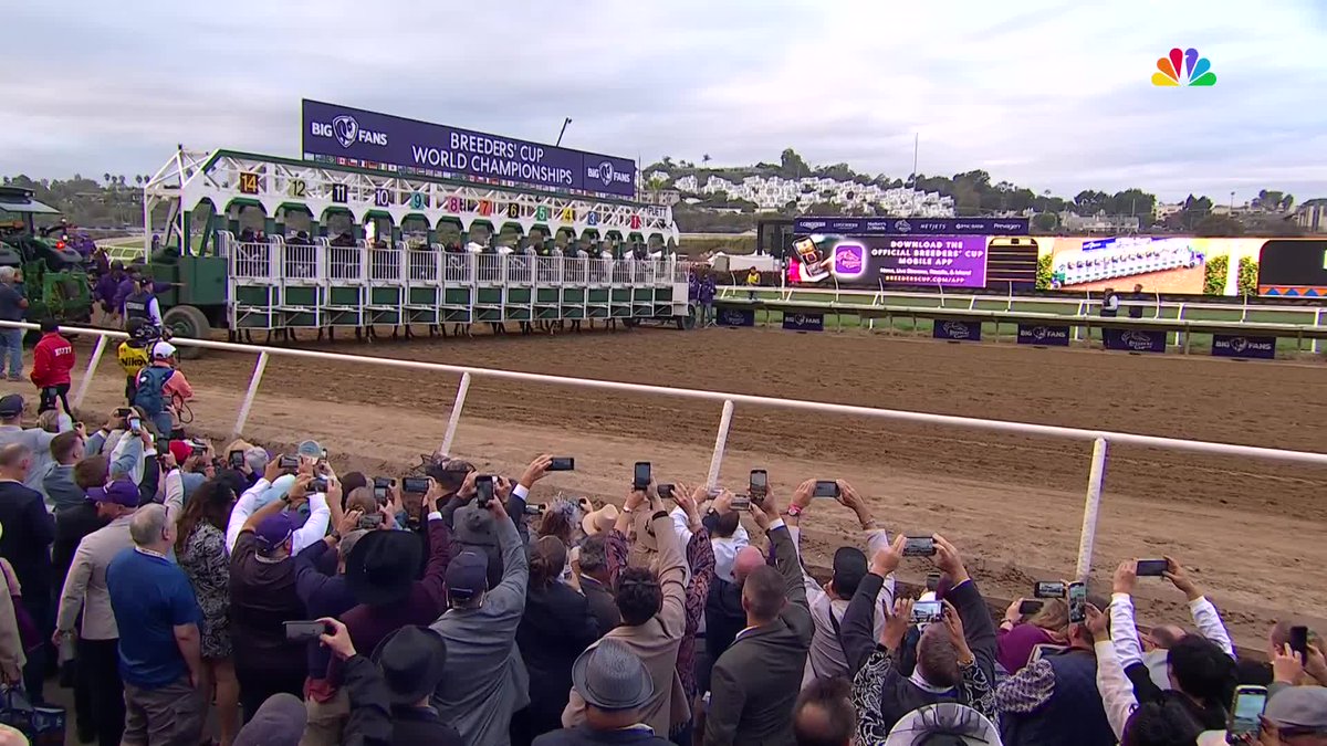 Full Serrano wins the $1 Million Big Ass Fans #BreedersCup Dirt Mile! Congrats to all connections! #BC24