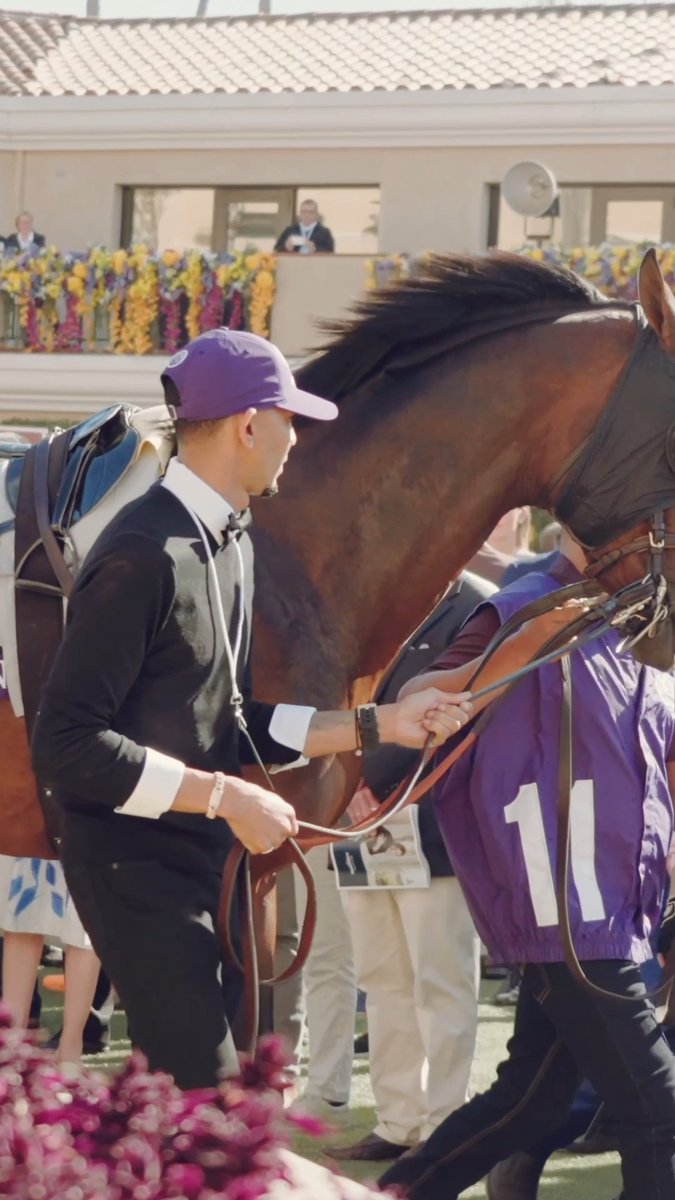 Your 2024 Breeders' Cup Classic Champion, Sierra Leone. Longines Watch Co. I NBC Sports I Del Mar Racetrack