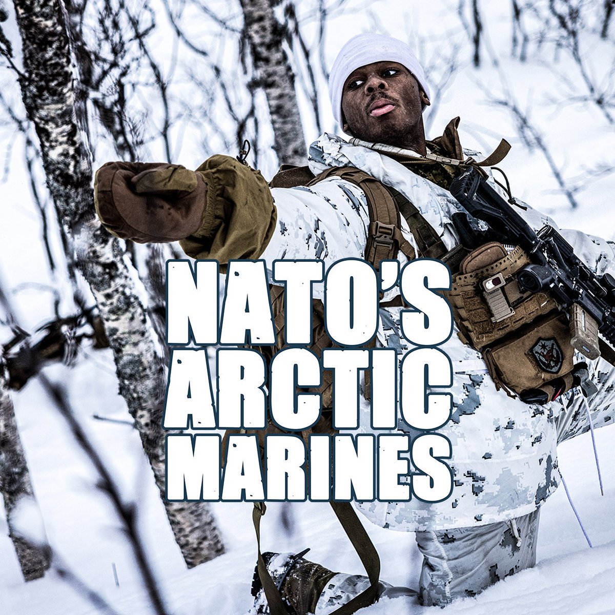 🆕 Take a look at Marine forces from several NATO Allies testing their mettle against the High North, putting their cold weather lessons into practice while learning new tactics from their counterparts ⤵️