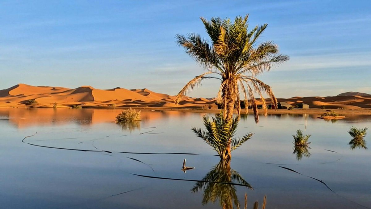 VIDEO: In Morocco's southeastern desert, a rare downpour has recently brought lakes and ponds back to life, with locals -- and tourists -- hailing it as a gift from the heavens.