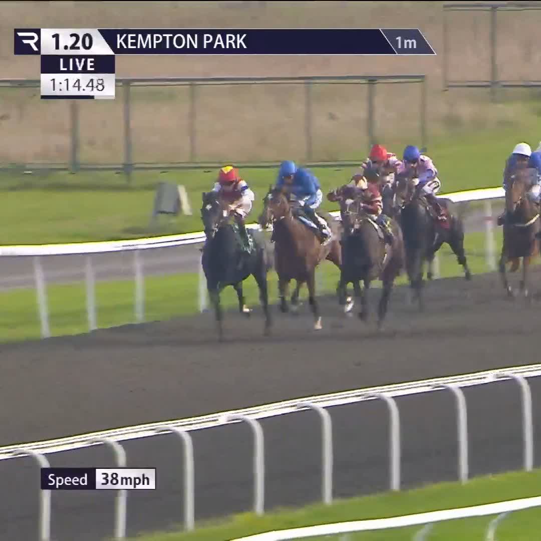 Who else 😂 Another debutant winner for Ralph Beckett. €90,000 buy Aurel fends off fellow newcomer Bedouin Prince Kempton Park Racecourse
