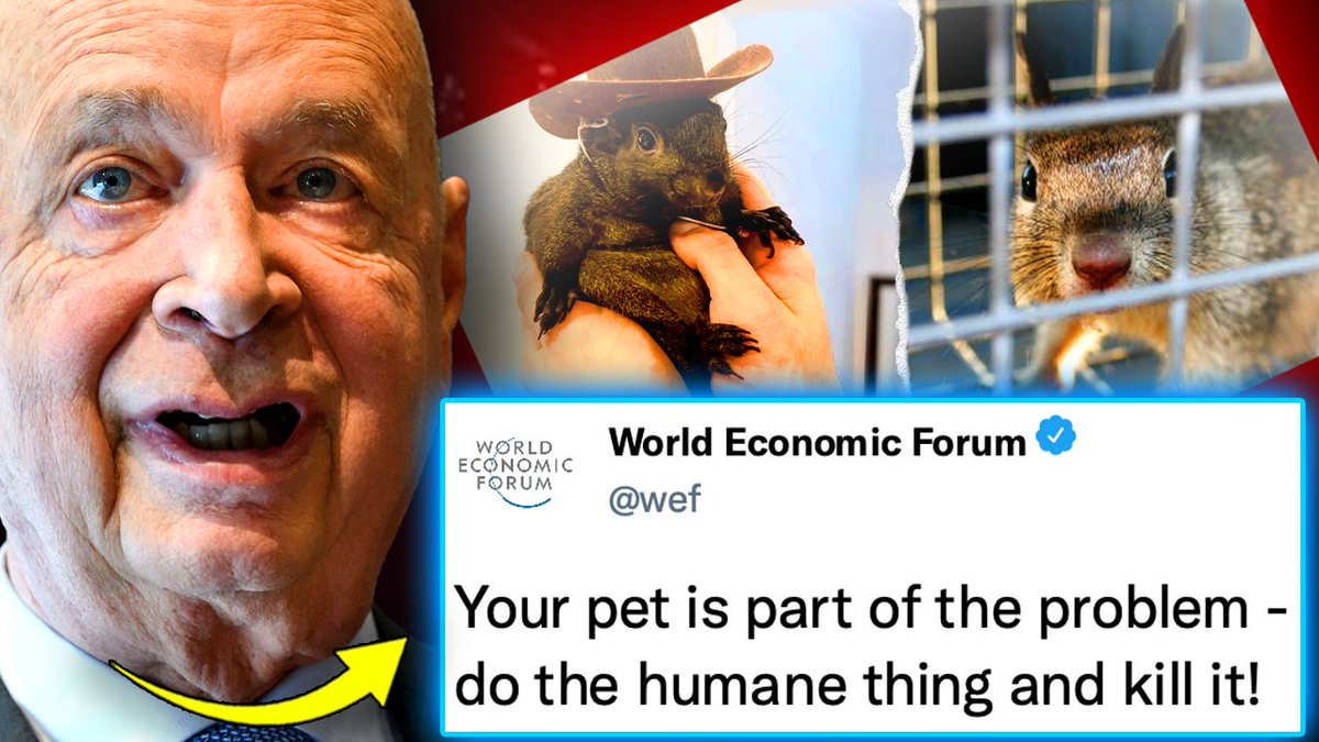 🚨 WEF Orders Slaughter of Pets Owned by Citizens With Low Social Credit Scores The WEF has urged world governments to begin euthanizing pets owned by citizens with low social credit scores, all under the guise of fighting climate change. The official reason? To reduce the so-called "carbon pawprint" as cities move toward tightly controlled 15-minute living zones where no pets will be allowed. Millions of people around reacted with horror last week at the state-sponsored euthanazia of Peanut the squirrel and Fred the raccoon. But there's more to this story. According to a whistleblower inside the WEF, this agenda goes far deeper than environmental goals. The real purpose is not about climate at all - it’s a calculated step in a conspiracy to strip humanity of anything that brings joy, companionship, or comfort.