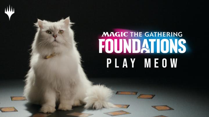 Meow meow Magic meow meow meow Beginner Box meow meow Cat Deck. Prerelease 11/08 meow meow. #MTGFoundations