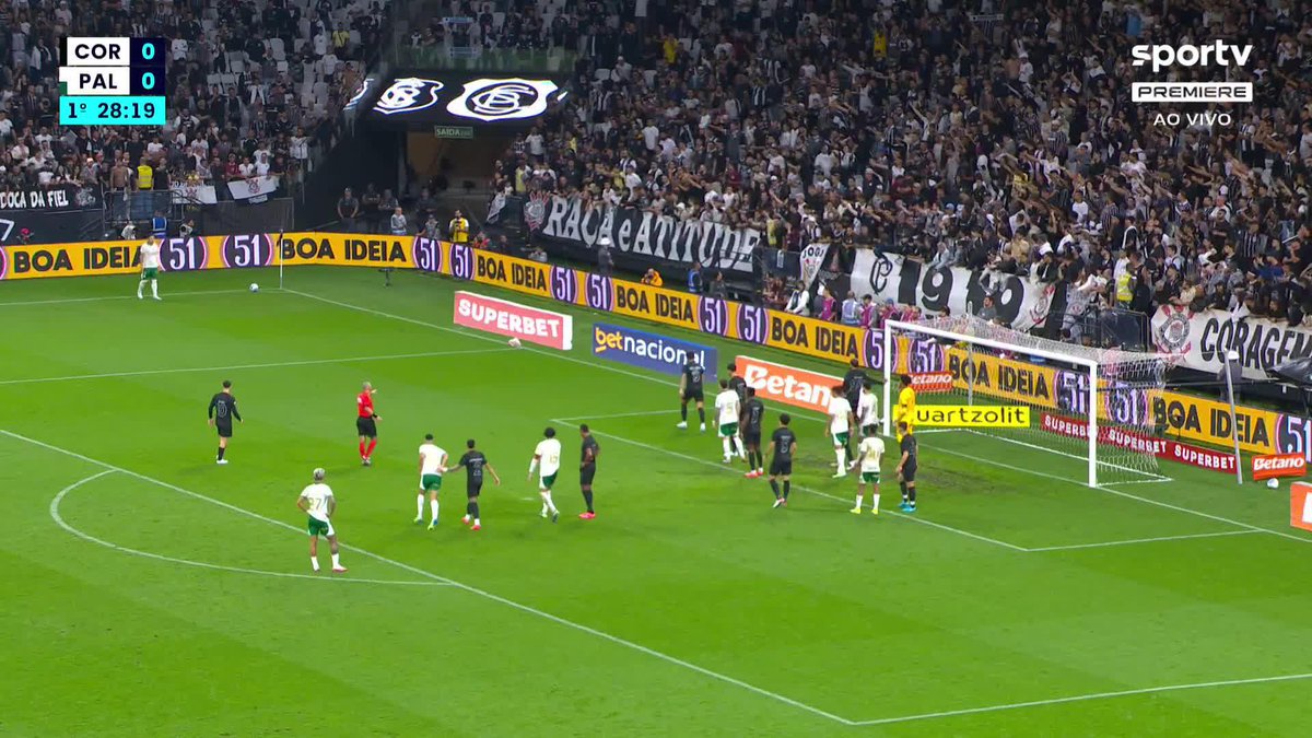 IMAGENS FORTES 🚨 Torcida do Corinthians joga cabeça de porco no gramado em clássico contra o Palmeiras.