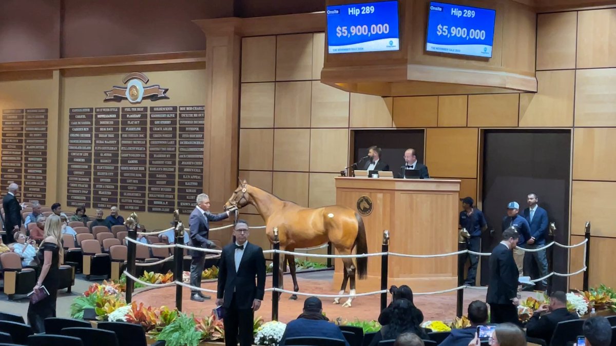 Hip 289 MCKULICK (GB) sells for $6,000,000 at The November Sale! McKulick is a G1SW and 6x GSW daughter of the legendary Frankel. Congrats to the connections: B: Narvick Int'l/ Grand Stud C: EliteSales, agt #FasigNovember Juddmonte