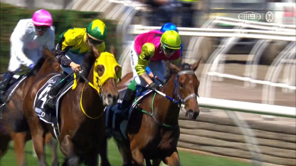 What did we just witness?! 🤯 KNIGHT'S CHOICE holds on to win the 2024 Lexus Melbourne Cup! 🎥 Wide World of Sports | #MelbourneCup | #MelbCupCarnival