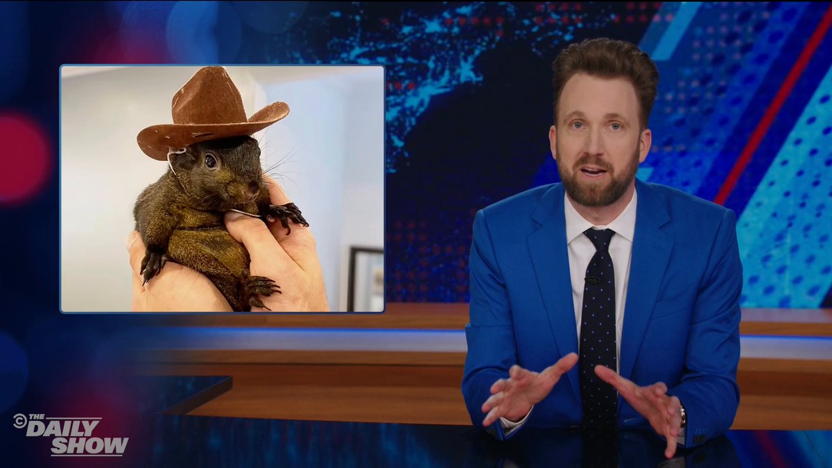 They're eating the dogs, they're assassinating the squirrels??