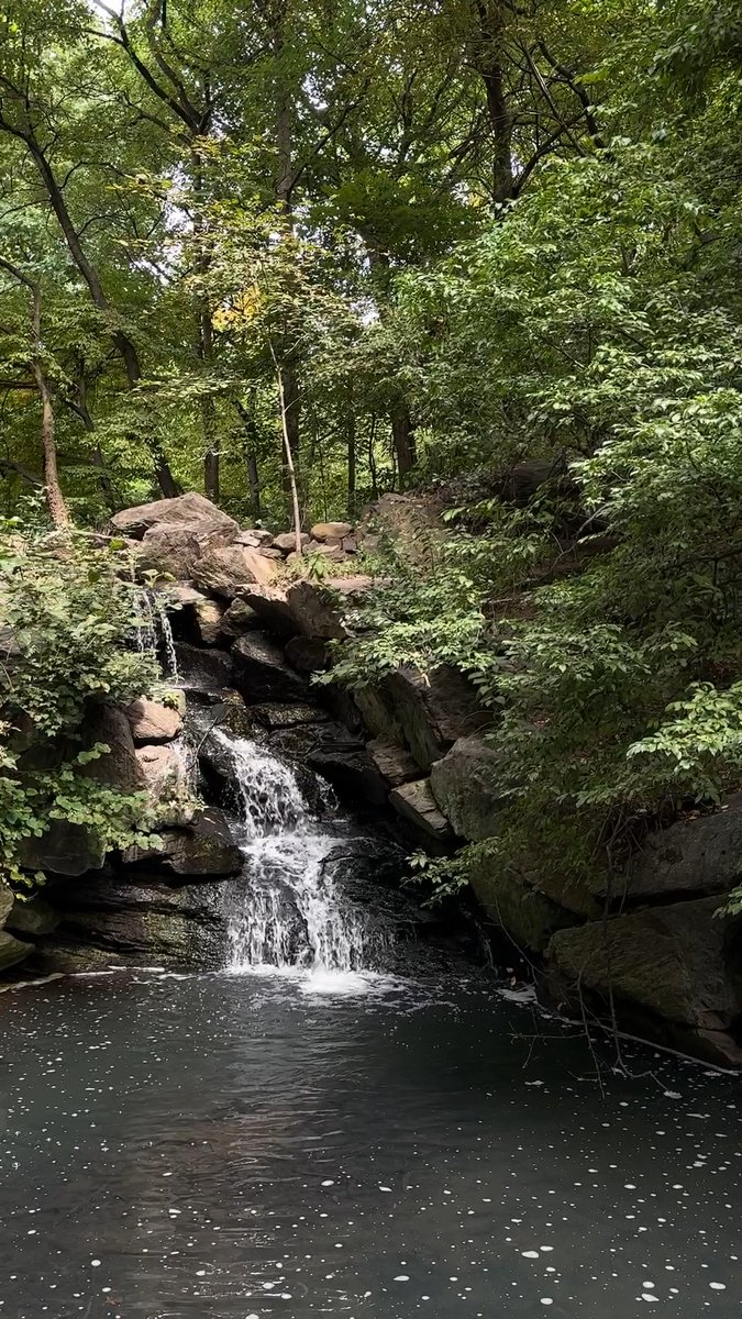 As New York City’s backyard, Central Park is here to provide peaceful relaxation and a respite from city life, for all to enjoy. So, take a deep breath, and decompress with 40 seconds of zen in Central Park. 🌀