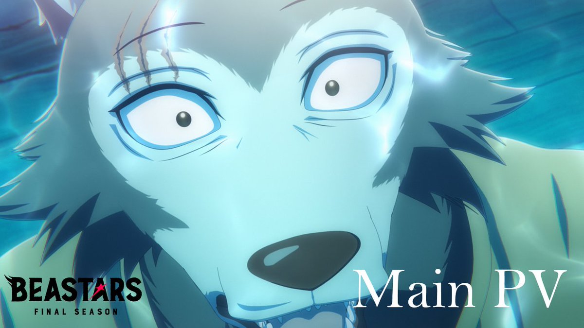◢◤◢◤ 『#BEASTARS FINAL SEASON』 メインPV公開📡‼ ◢◤◢◤ Netflixにて12月5日より独占配信決定💨 レゴシ・ハル・ルイ、🐺🐰🦌 三匹は別々の道を歩みだす――🐾 獣たちの青春群像劇、最終幕開幕🐺 どうぞお楽しみに✨ #bstanime