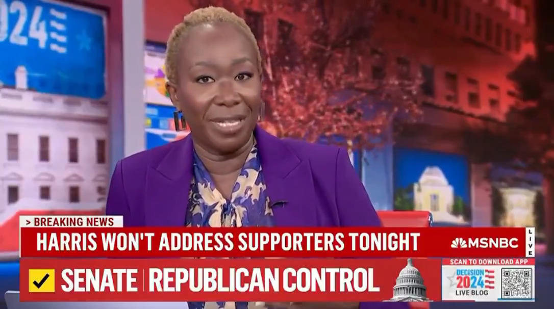 🚨WOW: Joy Reid says that Kamala's campaign "really was an historic, flawlessly run campaign." These people are so delusional 🤣🤦🏻♂️