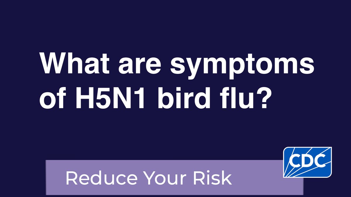 #H5N1 #birdflu symptoms may include fever or feeling feverish or chills, eye redness or irritation, and respiratory symptoms, such as cough, sore throat, runny or stuffy nose, muscle or body aches, headaches, and tiredness. More: