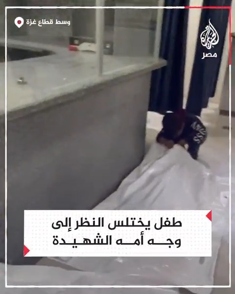 طفل يحاول اختلاس النظر لوجه والدته المغطى بعد استشهادها في قصف إسرائيلي على مدرسة تؤوي نازحين بمخيم النصيرات وسط قطاع غزة