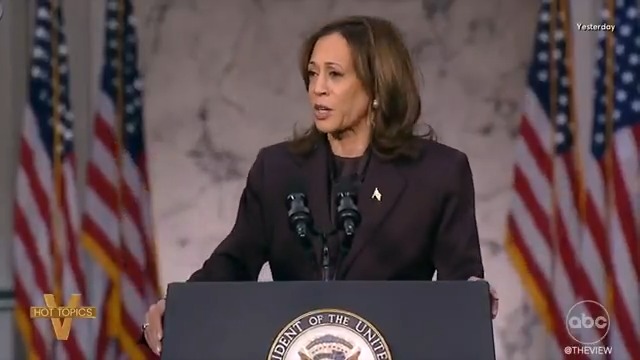 DEMOCRATS FINGER POINTING AFTER HARRIS' LOSS: #TheView co-hosts weigh in on Democrats' path forward after Vice Pres. Harris' concession speech where she congratulated President-elect Donald Trump on his win and committed to a peaceful transfer of power.