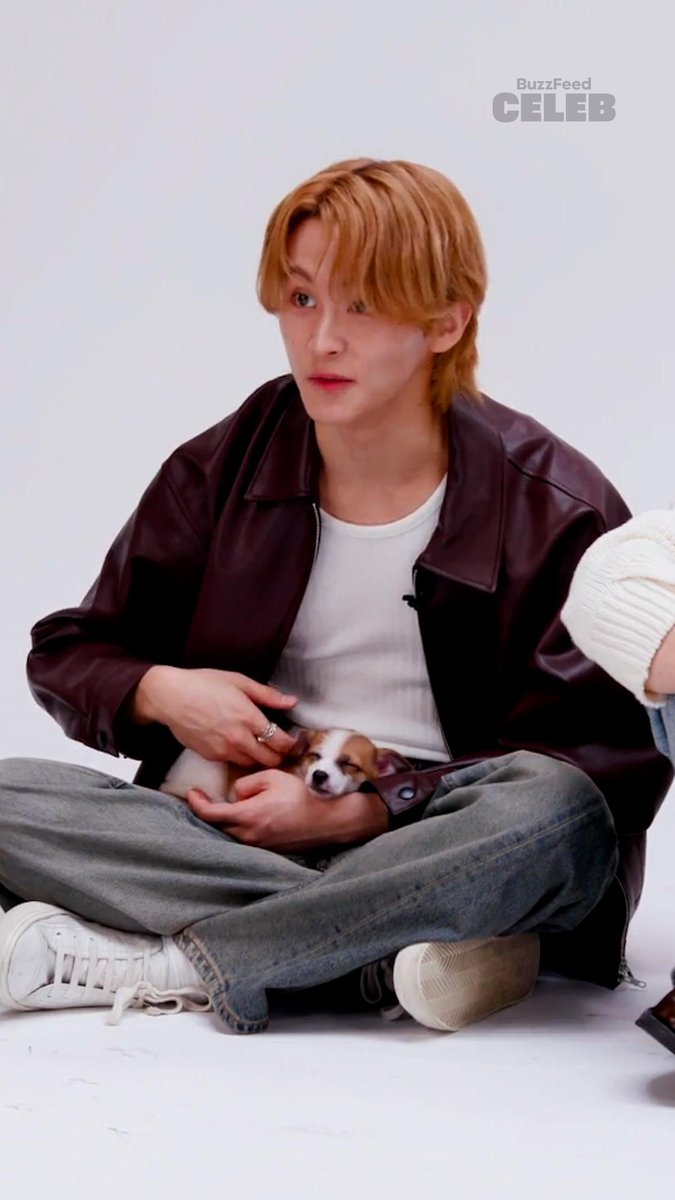 Hey NCT DREAM, what would you name these puppies? 👀 😍 Full Puppy Interview is out now on BuzzFeed Celeb! Watch here: #NCT_DREAM #DREAMSCAPE