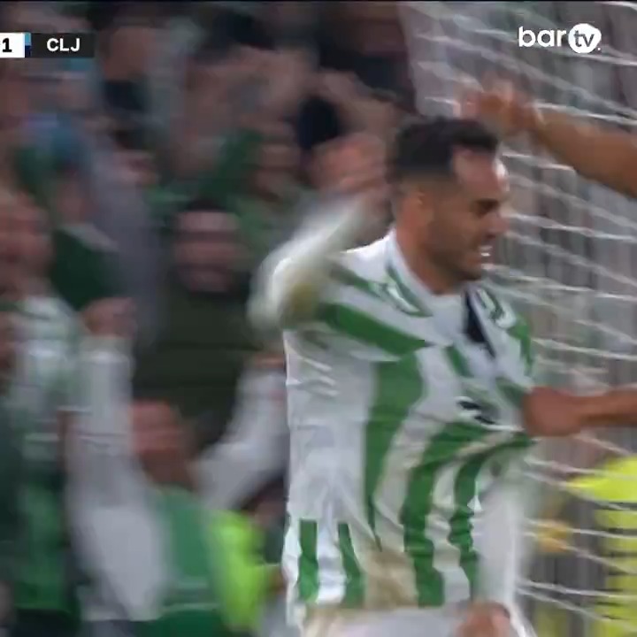 La celebración lo dice todo. Desatada la plantilla del Real Betis Balompié 🌴💚 en el 94.