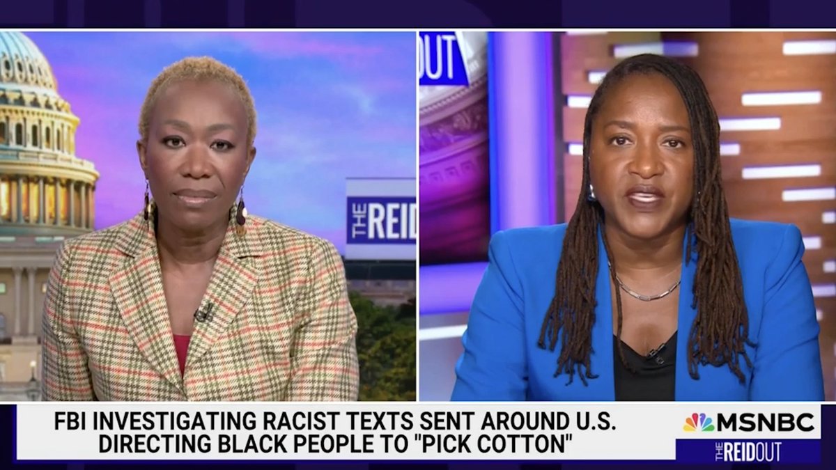 "So it's up to the American people, and it's up to our courts, our judiciary, to step into this breach and determine how far we are going to allow this country to devolve. And at the Legal Defense Fund, we are prepared to defend it to the end." Janai Nelson on The ReidOut