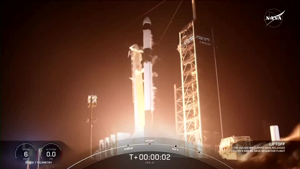 Japan just launched a wooden (yes made of wood) satellite called LignoSat. It is the world's first wooden satellite and I t'll stay in orbit for six months in an attempt to prove wood is a space-grade material.