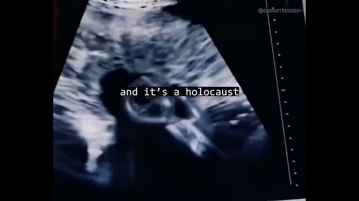 The Abortion Holocaust