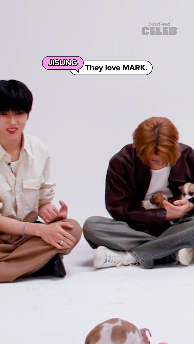 this puppy saw a chance w mark lee and took it 🥹💌 FULL VIDEO: #NCT_DREAM #DREAMSCAPE