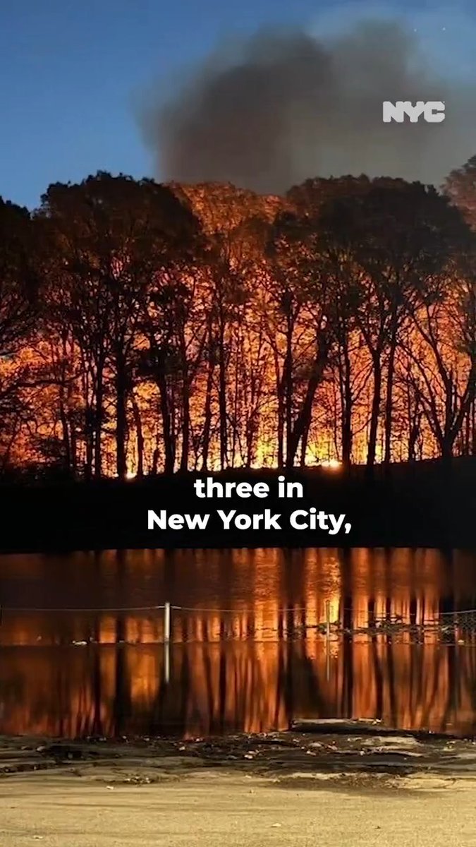 If you've been outside, you've likely smelled the smoke from wildfires in our region, including one that burned in Prospect Park. Stay indoors if you have respiratory issues and avoid burning outside while the risk of fires is high. Get the latest at