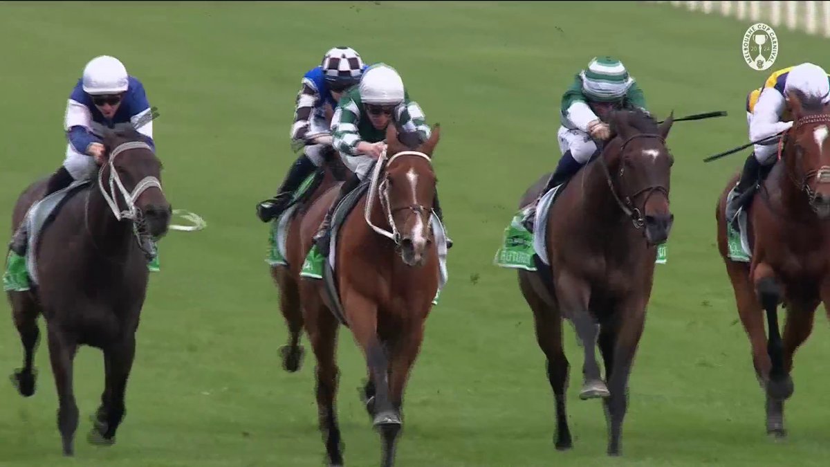"I might take her back to England!" Chris Waller Racing is weighing up what could be next for his star mare...