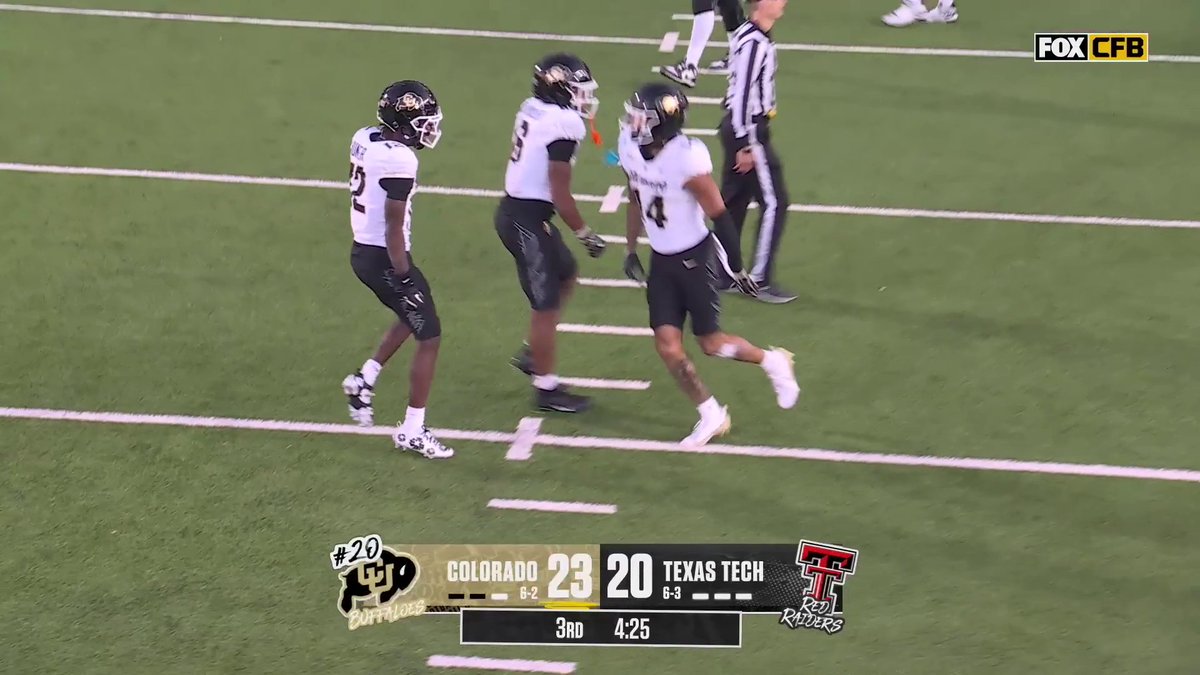 WILL SHEPPARD ONE-HAND TOUCHDOWN🤯 Will Sheppard