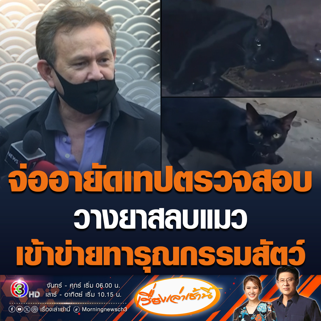 #เรื่องเล่าเช้านี้ นายกสมาคมพิทักษ์สัตว์ไทย ชี้วางยาสลบแมวมีความผิด ทำไม่ได้ เข้าข่ายทารุณกรรมสัตว์ จ่อขออายัดเทปฉบับเต็มตรวจสอบ ขณะที่คนดังหลายคน ออกมาต่อต้าน บอกรับไม่ได้ เรียกร้องให้สปอนเซอร์ถอนโฆษณา #ข่าวช่อง3 #ข่าวโซเชียล #แบนแม่หยัว