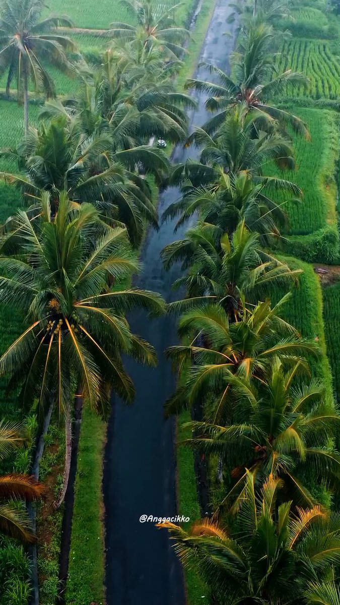 Perpaduan yg pas sawah, hujan dan Bali 🤩 #Jelajahi_Indonesia