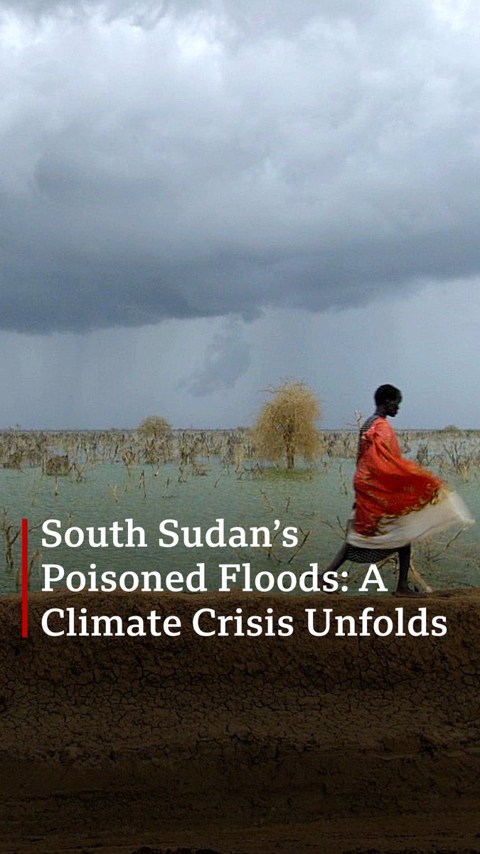 🇸🇸 South Sudan is on the frontline of climate change. Extreme flooding has displaced hundreds of thousands. Now, there are fears the flood water may harbour yet another threat – pollution from the country’s oil industry. #BBCAfricaEye and #BBCLifeat50C investigate. #COP29
