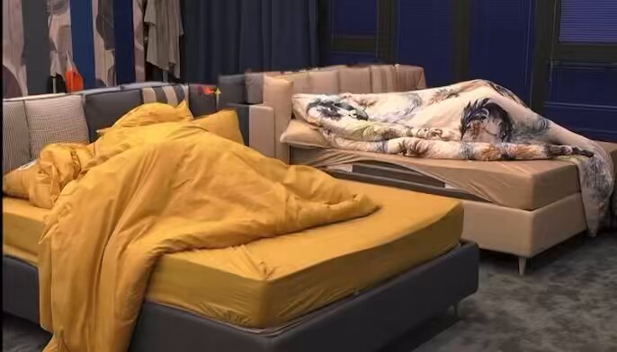 Il ribrezzo che mi fanno questi due . Hanno 30 anni a testa e sembrano due conigli in calore 🤢🤮🤮🤢🤢🤢 #grandefratello
