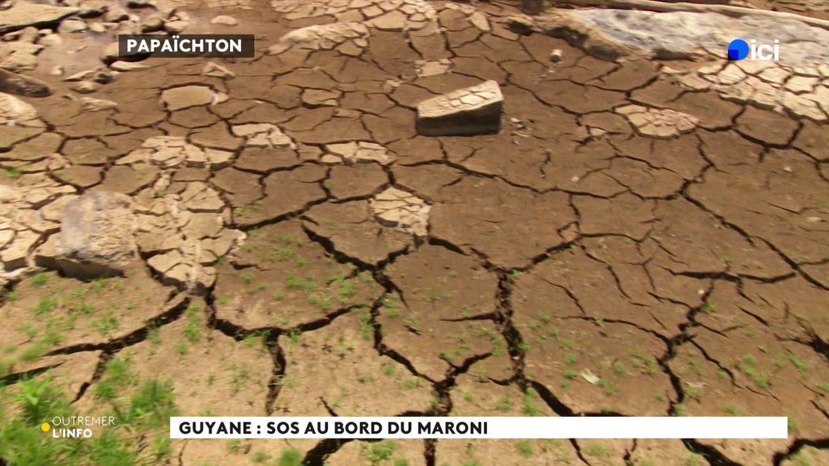 Une sécheresse majeure fait rage en Guyane. Enclavement car le fleuve est trop bas, marchandises bloquées, écoles fermées... Le quotidien des populations du Haut-Maroni est bouleversé ⤵