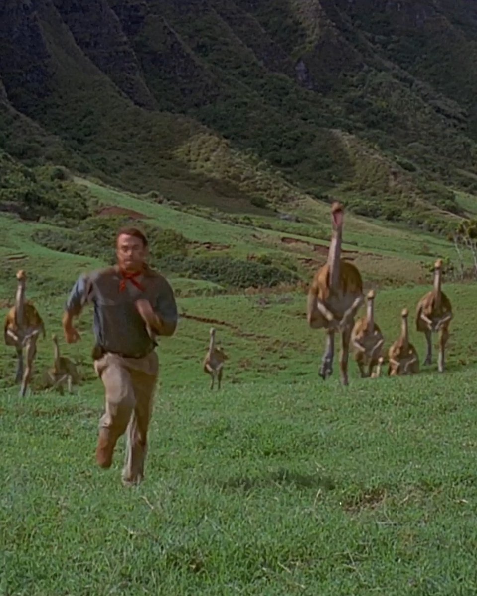 Where are the Gallimimus going? Wrong answers only.
