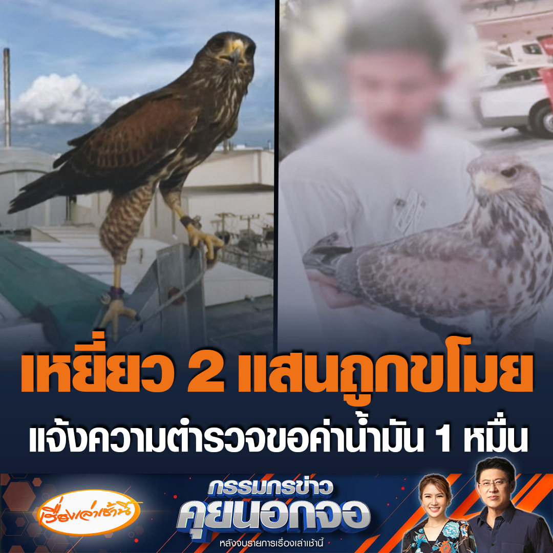 เจ้าของช้ำ ลูกจ้างขโมยเหยี่ยวมูลค่าเกือบ 2 แสน เอาไปขาย แจ้งความตำรวจบอก ไม่มีงบค่าน้ำมันไปตามหาเหยี่ยว ขอเงินค่าน้ำมัน 1 หมื่น จำใจให้เงินสดไป แต่ 3 เดือนแล้ว คดีไม่คืบหน้า ฝากใครพบเห็นมีเงินรางวัลให้ 1 แสน #เรื่องเล่าเช้านี้ #ข่าวช่อง3 #กรรมกรข่าวคุยนอกจอ