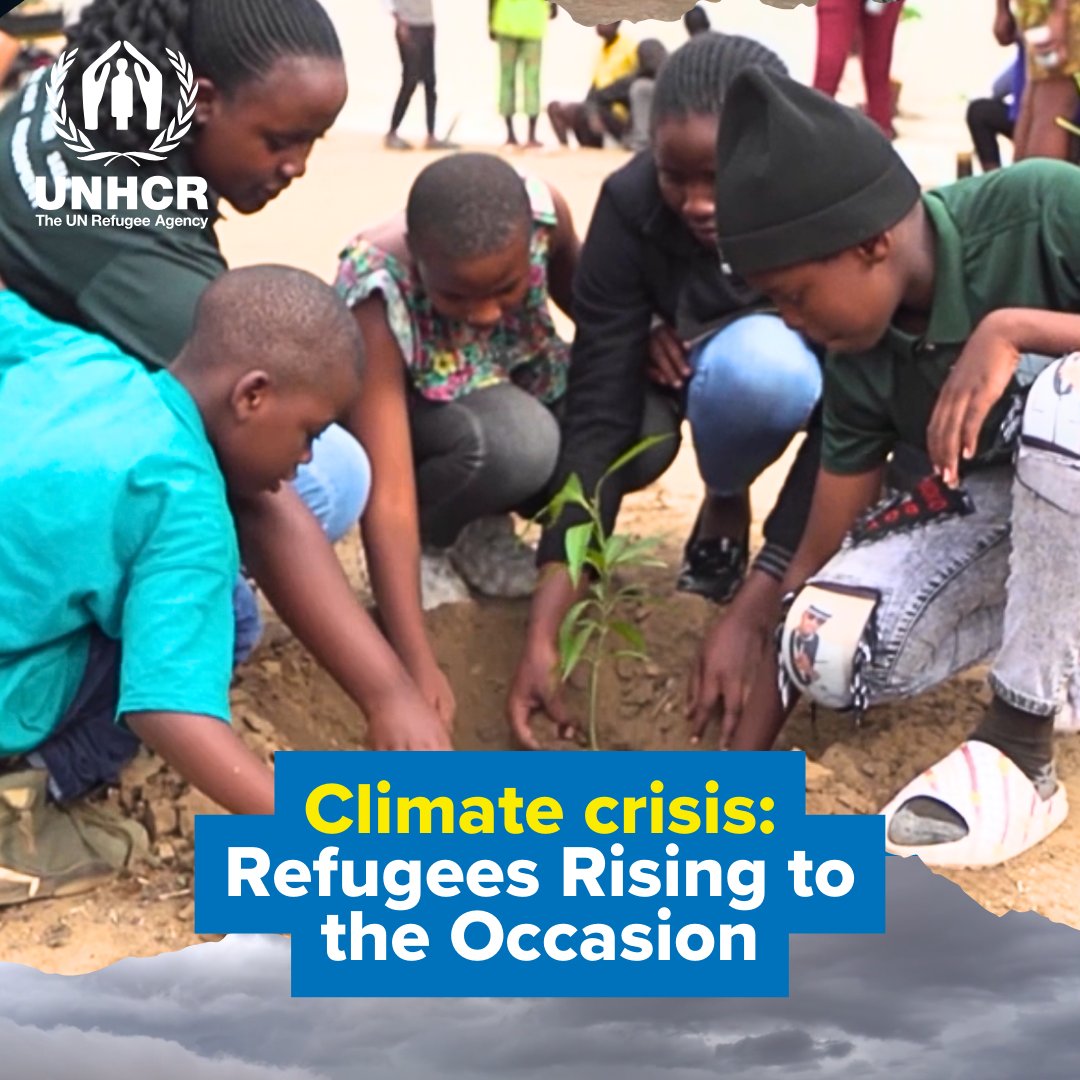 Refugee numbers are rising. Temperatures are rising. Waters are rising. Tensions are rising. And refugees are also rising. #COP29