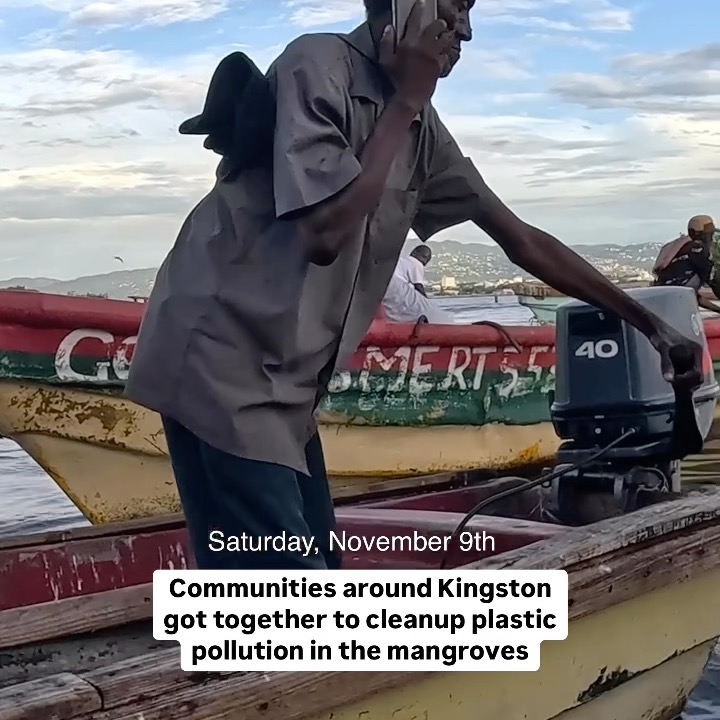 Cleaning up Kingston’s mangroves, one step at a time. 🇯🇲 Following the Great Mangrove Cleanup organized by our local partners, another 8238 kg / 18,164 lb of waste no longer harms the vital ecosystems of Kingston’s mangroves.
