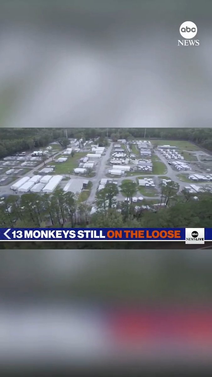 As of Monday evening, more than half of the rhesus macaque monkeys that escaped from a South Carolina lab have been recovered. There are 13 monkeys remaining of the 43 that broke loose Wednesday that have yet to be captured.
