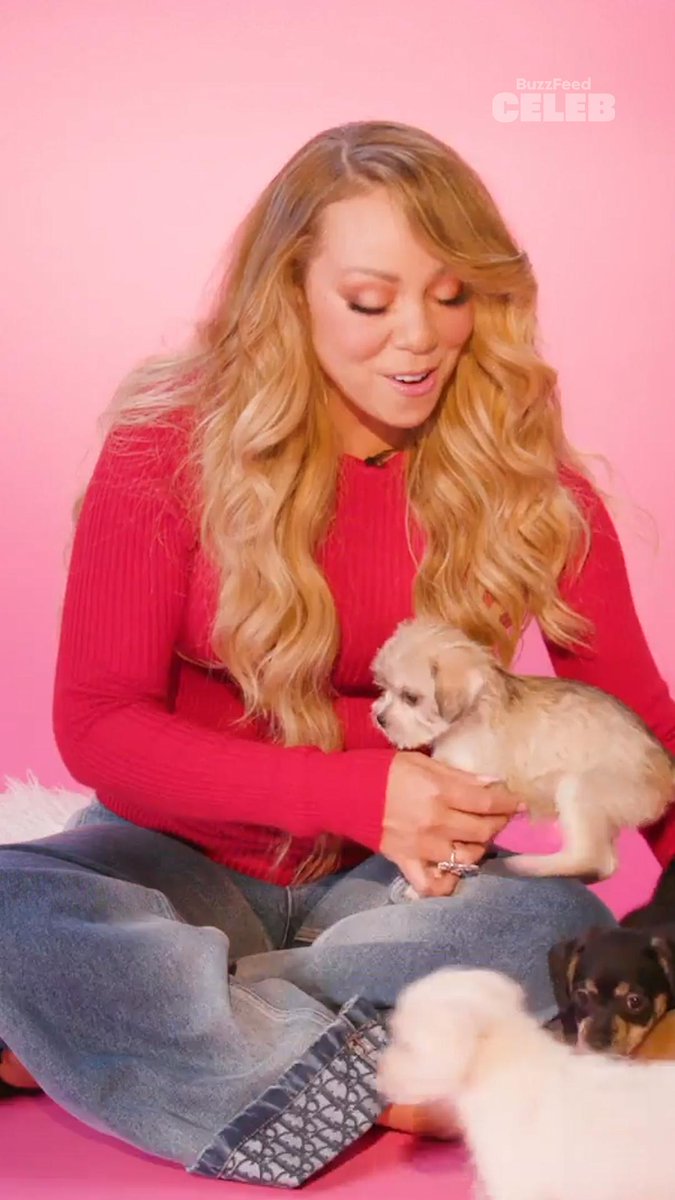 CHRISTMAS CAME EARLY 🐶🎄🎶🎁 The Mariah Carey Puppies Interview is out now! Click the link to watch the full video: #MariahCarey #PuppyInterview