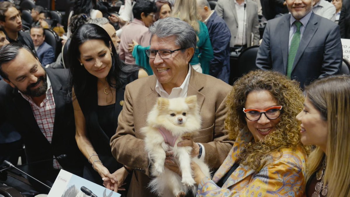 Hoy aprobamos una reforma histórica, que garantiza la protección y el bienestar animal, un compromiso con la sociedad civil y con quienes amamos a los animales. Con 450 votos a favor, ahora contamos con un marco constitucional que lo respalda. 🐈🐶🐾
