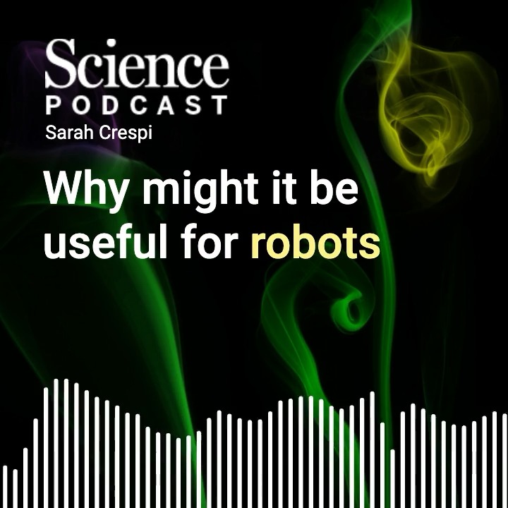 On the latest #SciencePodcast🎙️, Nik Dennler joins host SarCrespi to discuss speeding up electronic noses. 🎧 Listen here: