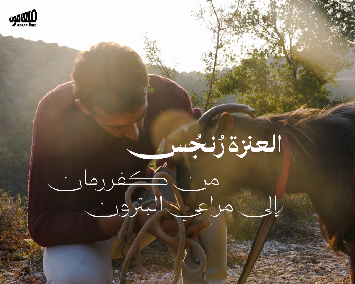 لم يكن علي ليغادر قريته #كفررمان لو لم يصطحب معه عنزته رنجس وكلبَيْه براوني ولوسي. في شبطين بقضاء #البترون، وجدت رنجس القصعين والصعتر اللذين تعرف طعمهما في أرض #الجنوب، لكنّها اكتشفت شجر السنديان وبات البلّوط طعامها المفضَّل.