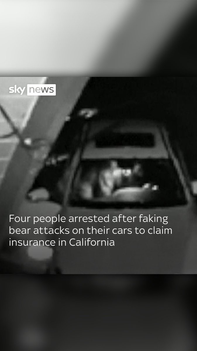 Four people have been arrested after faking bear attacks on their cars to claim insurance in California. After sending footage of the alleged attacks on the cars, it was discovered the so-called 'bear' was in fact somebody dressed in a costume