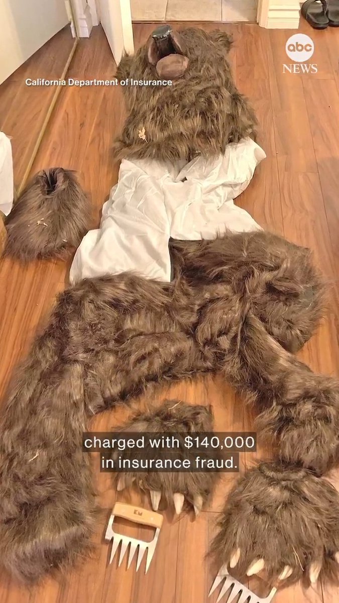 "Clearly a human in a bear suit." Officials say four California insurance scammers have been arrested after dressing in bear costumes to vandalize luxury cars.