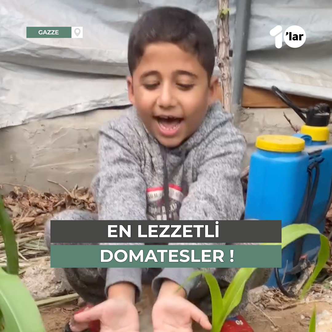 "Yakında, ektiğim fidelerim domatesle dolacak ve onlardan en lezzetli kızarmış domatesleri yapacağım!'' Gazze'de, kendi imkanlarıyla sebze yetiştirmeye çalışan küçük çocuğun fidelerinin büyümesi sonucu yaşadığı mutluluk 🌱🍅