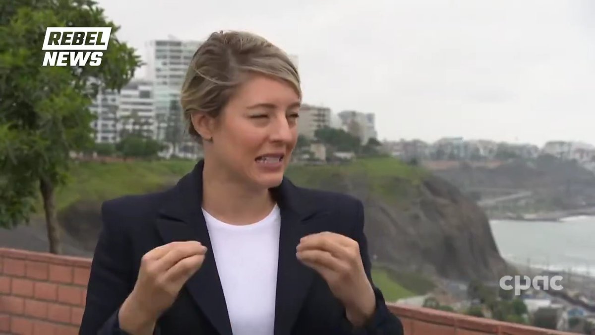 Foreign Affairs Minister Melanie Joly claims "so many countries" are coming to Canada for advice on how to deal with the incoming Trump administration. "If there's a country in the world that understands the US, it's Canada," Mélanie Joly says.