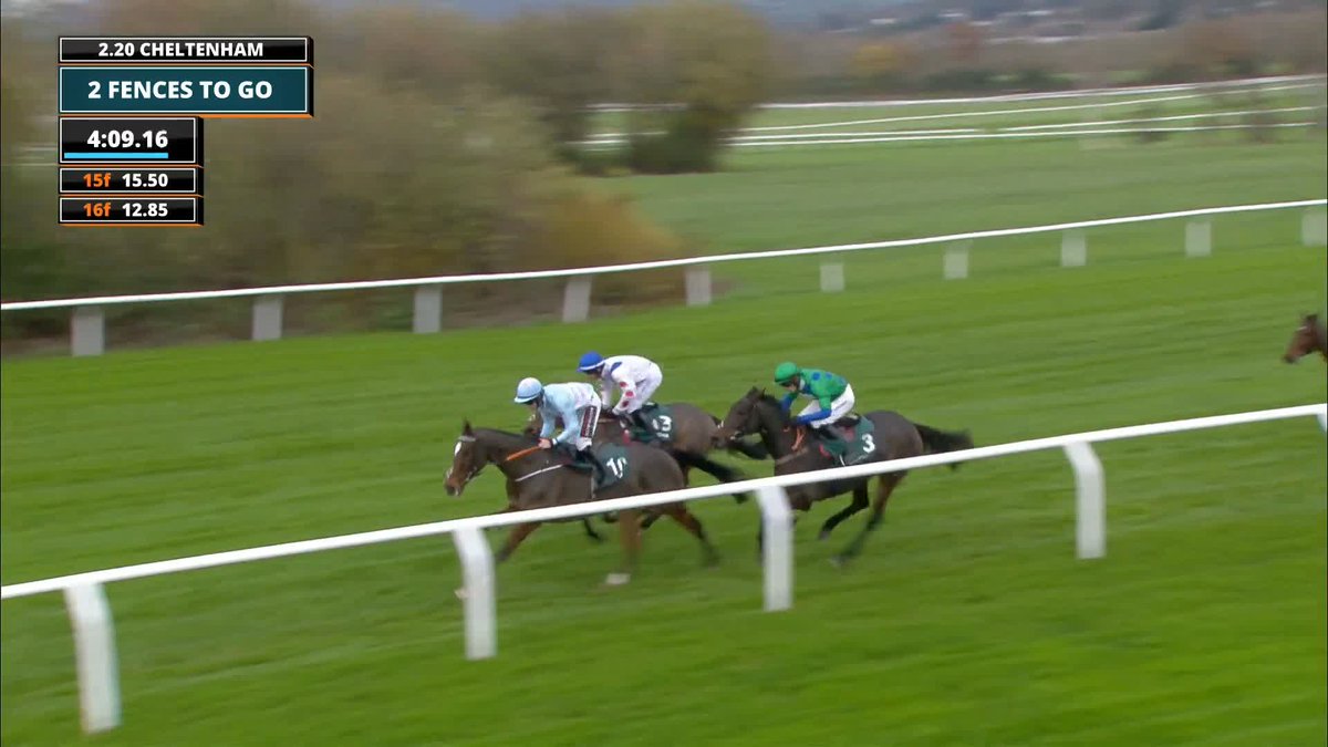 🏆 IL RIDOTO WINS THE PADDY POWER GOLD CUP 🏆 What a ride from Freddie Gingell, an afternoon to remember ❤️⭐️ #ITVRacing | Paul Nicholls OBE | freddie gingell | CheltenhamRacecourse