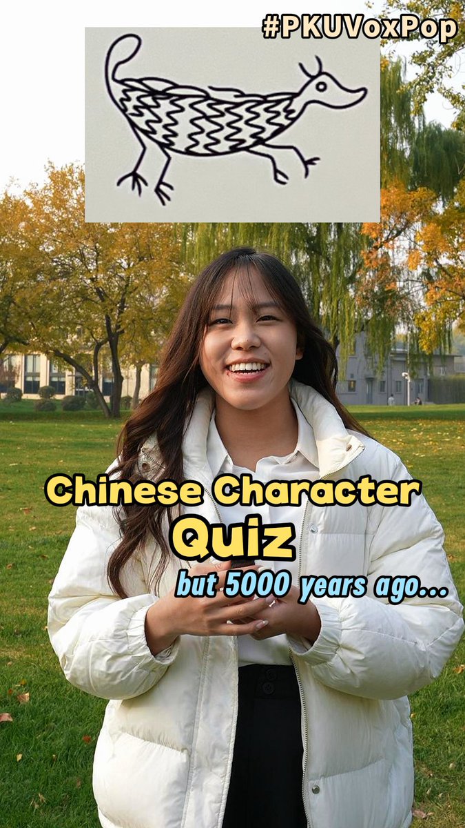Think you're an expert on ancient #ChineseHistory? Test your knowledge of the fascinating #Liangzhu culture! Discover more at the Liangzhu Culture Exhibition at #PKU this November, don't miss it! #PKUVoxPop #PekingUniversity