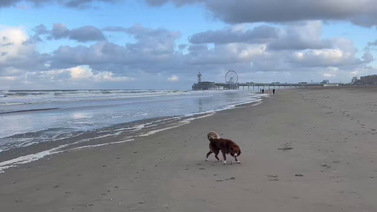 Het harde waaien is begonnen. Zijn de dijken veilig?