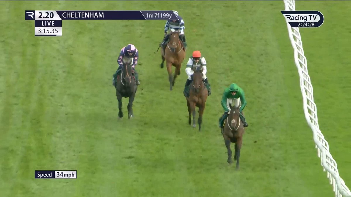 Do you think Gunsight Ridge would have won if he didn't fall at the last at Cheltenham? 👀