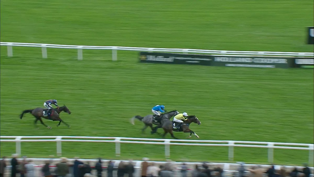 Burdett Road holds on to claim victory in the Unibet Greatwood Handicap Hurdle 🥇 #ITVRacing | CheltenhamRacecourse | Harry Cobden